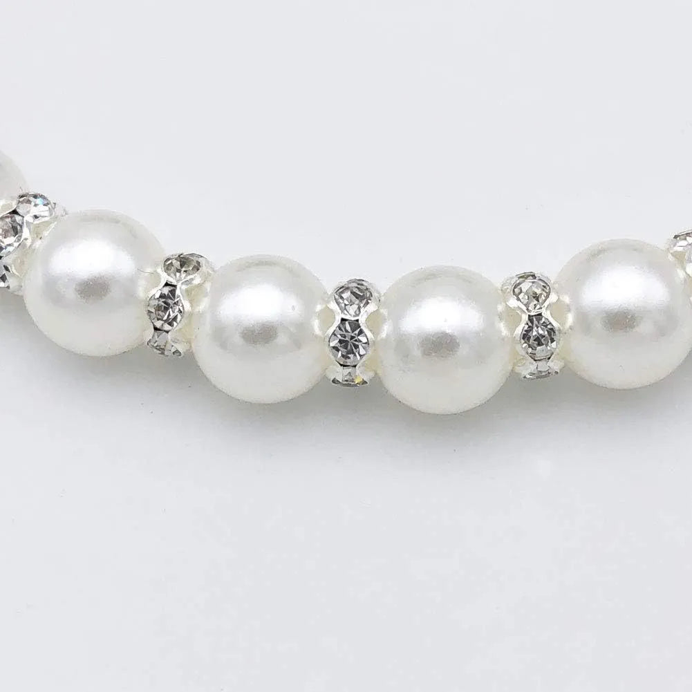 Small dog wearing a blue imitation pearl and rhinestone necklace with a ribbon bow.