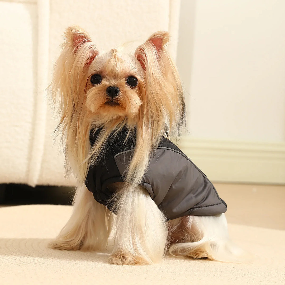 Reflective polyester pet coat in contrast colours, sizes XS to 2XL, for autumn and winter walks.
