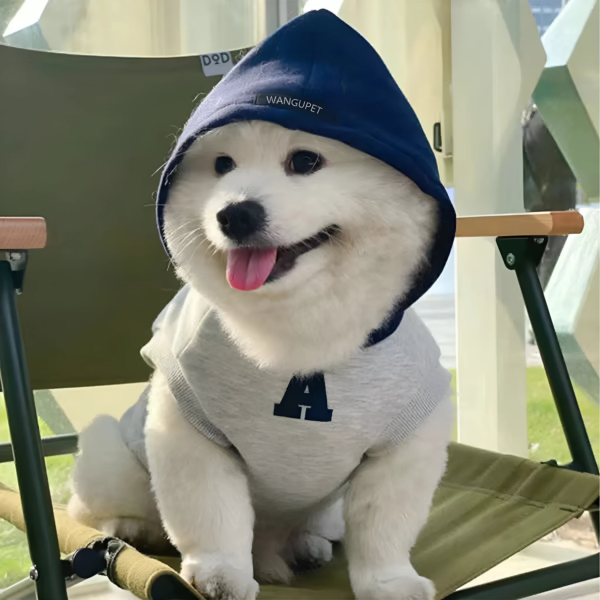 Blue and white slim-fitting pet hoodie with reflective letters for dogs and cats.