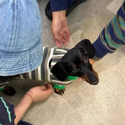 Warm striped dog vest for autumn and winter pet clothing, available in sizes S to XXL