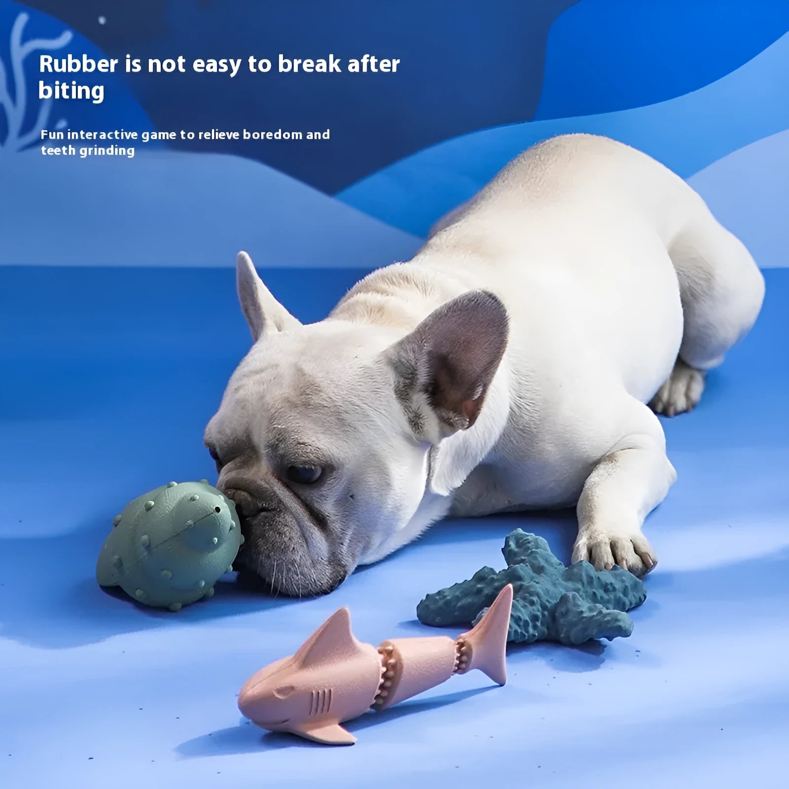 Deep sea shark rubber dog toy with raised fins in conch blue, green, starfish blue or green colours