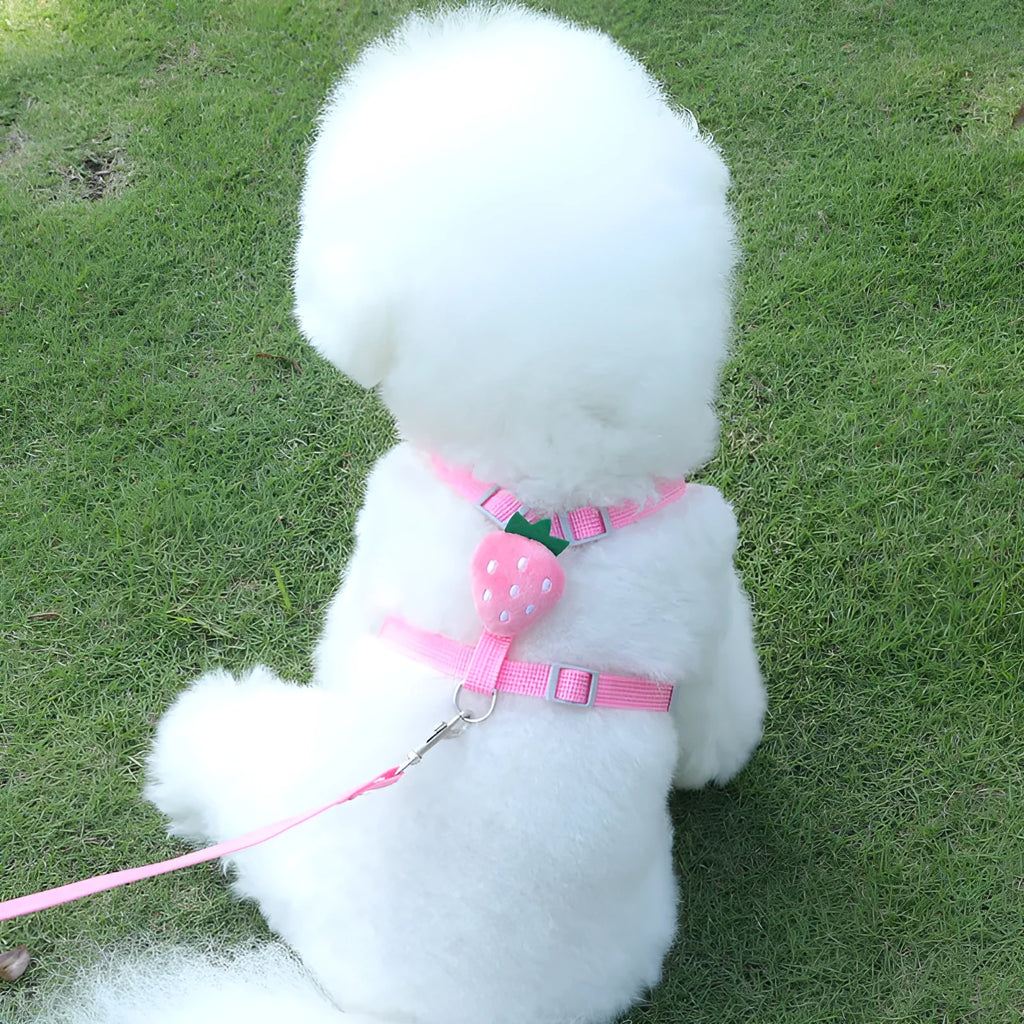 Reflective vest-style dog walking leash in avocado colour wrapped around a small dog's torso.