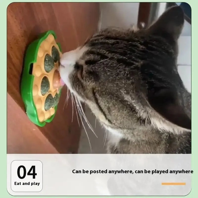 Green lotus design catnip ball toy sticking on wall for indoor feline play