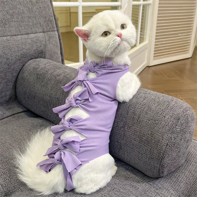 Cat wearing blue polyester recovery suit with lace-up back closure after sterilisation surgery