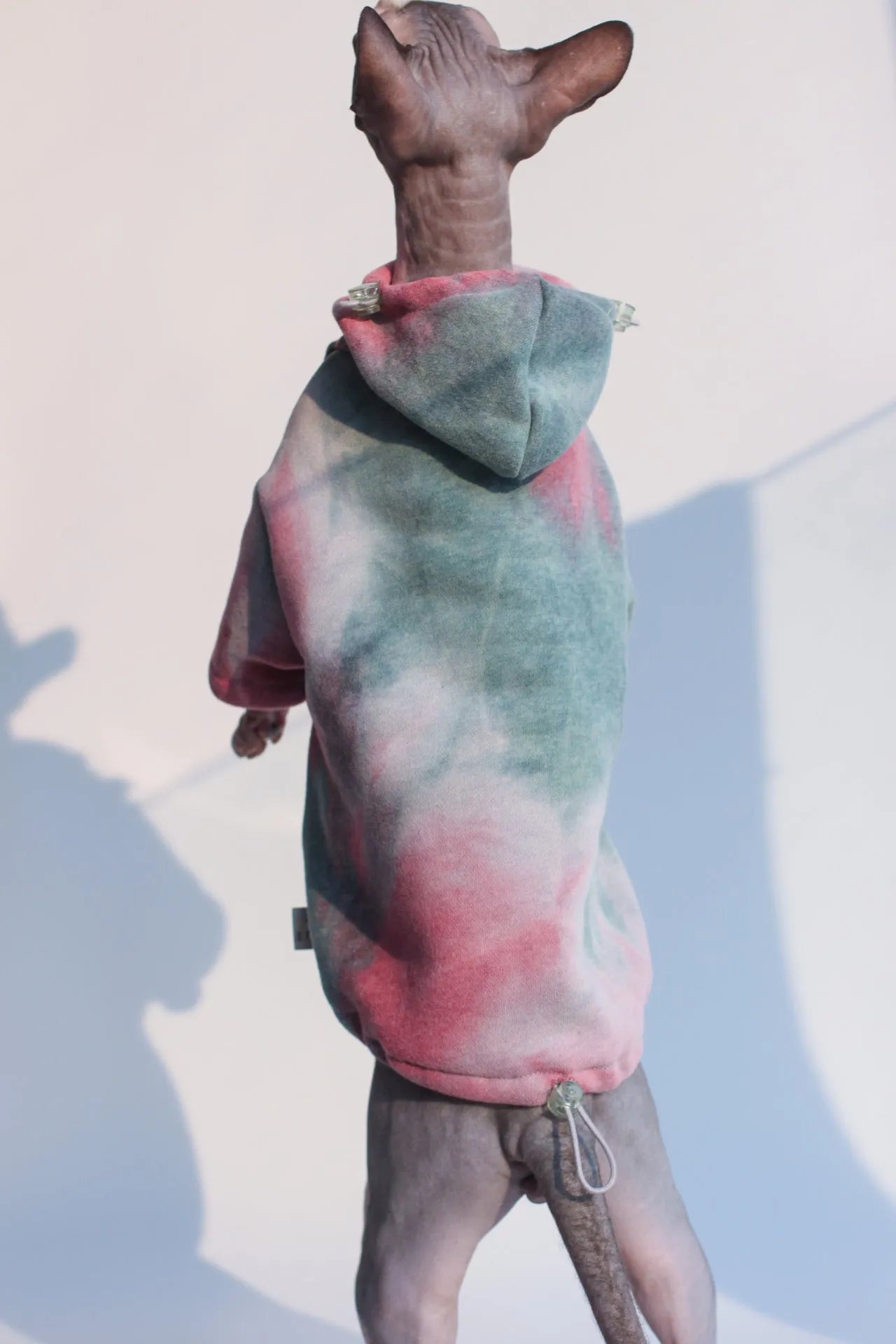 Tie-dye hooded sweater for pets in cotton with velvet lining, autumn winter coat for cats and dogs
