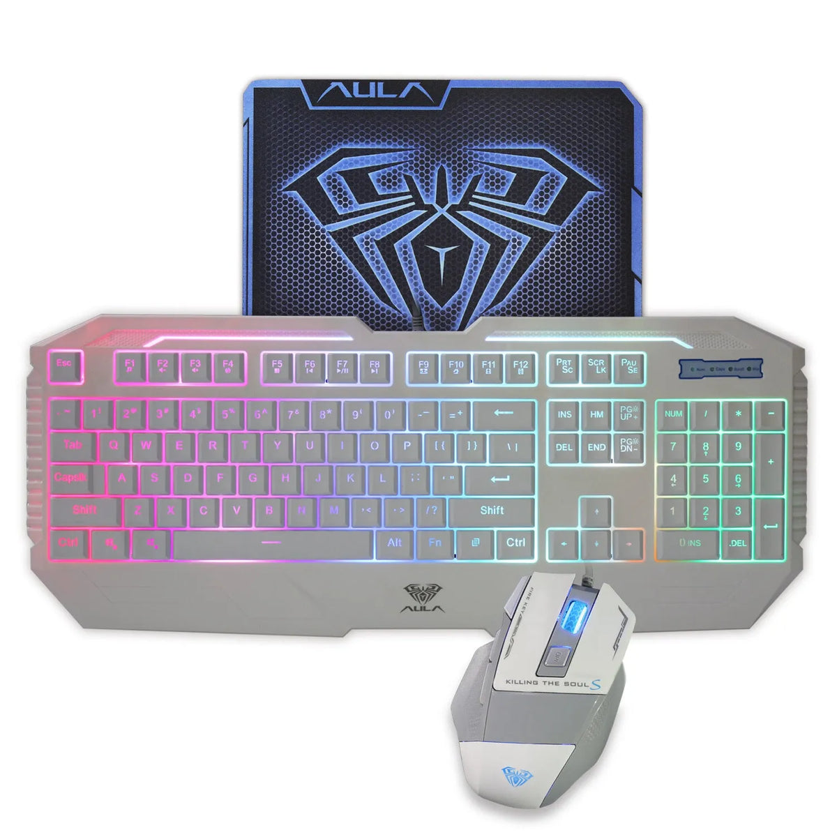 Backlit keyboard and mouse set with two-color injection keycaps in black and white