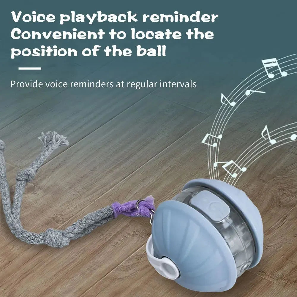 Upgrade cat interactive ball toy with faux tail, laser pointer, and voice reminder in colour options