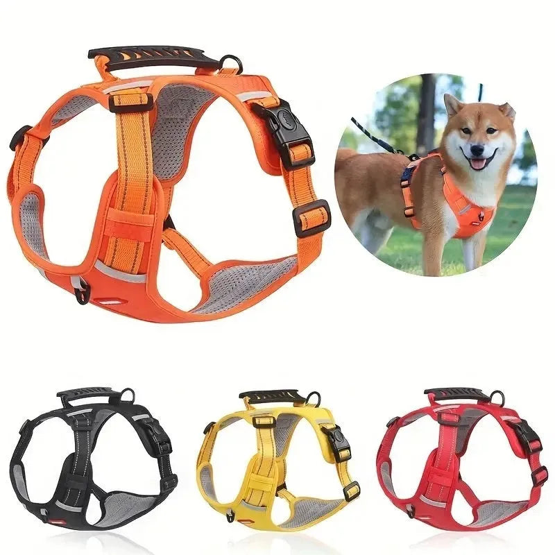 Polyester dog harness lead with a chest strap shown in multiple colours on a neutral background.