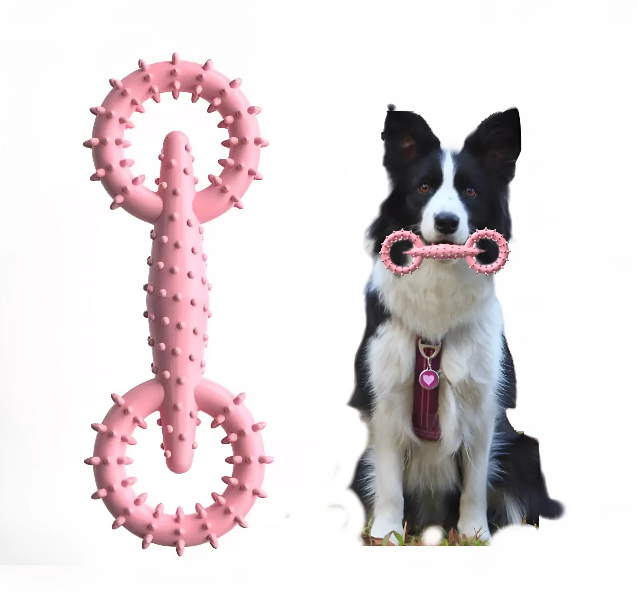 Blue TPR dog chew toy ring with textured surface for puppy teething and dental care