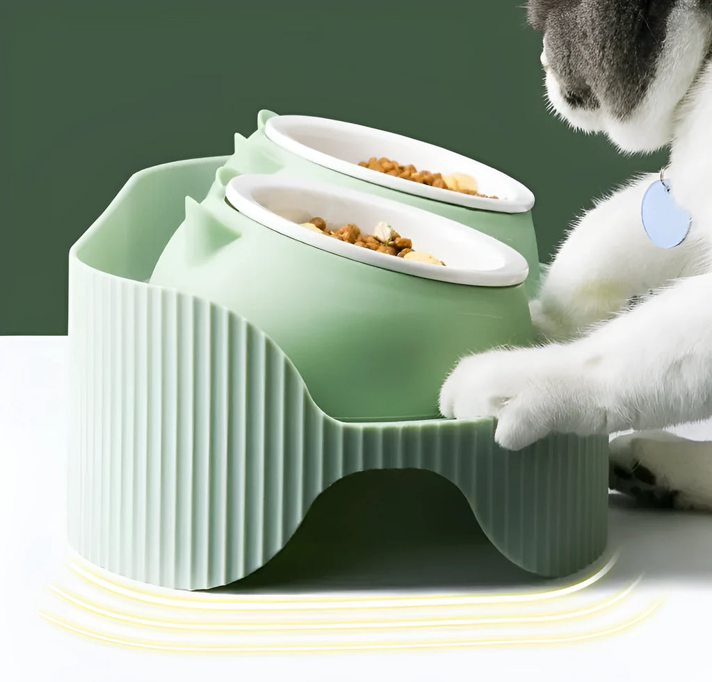 Green double-layer ceramic cat food bowl with raised design for cervical spine protection on a light background