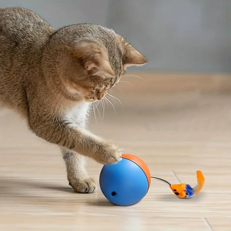 Interactive cat toy ball with attached plush mouse in blue and orange colour options
