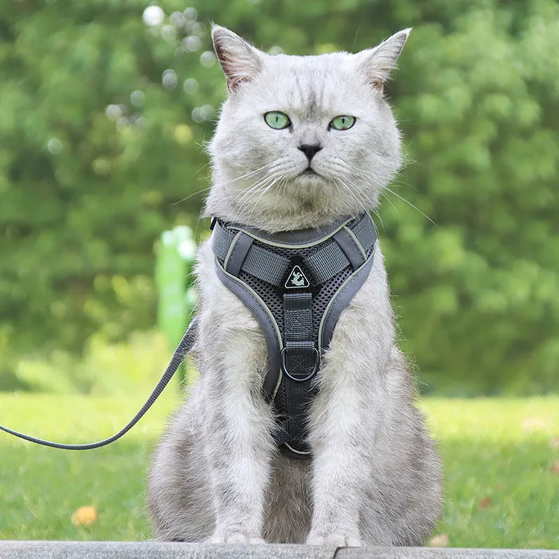 Cat anti-breakaway chest harness and 1.5-metre flat rope set in six colour options for cats 4.5-22+ jins