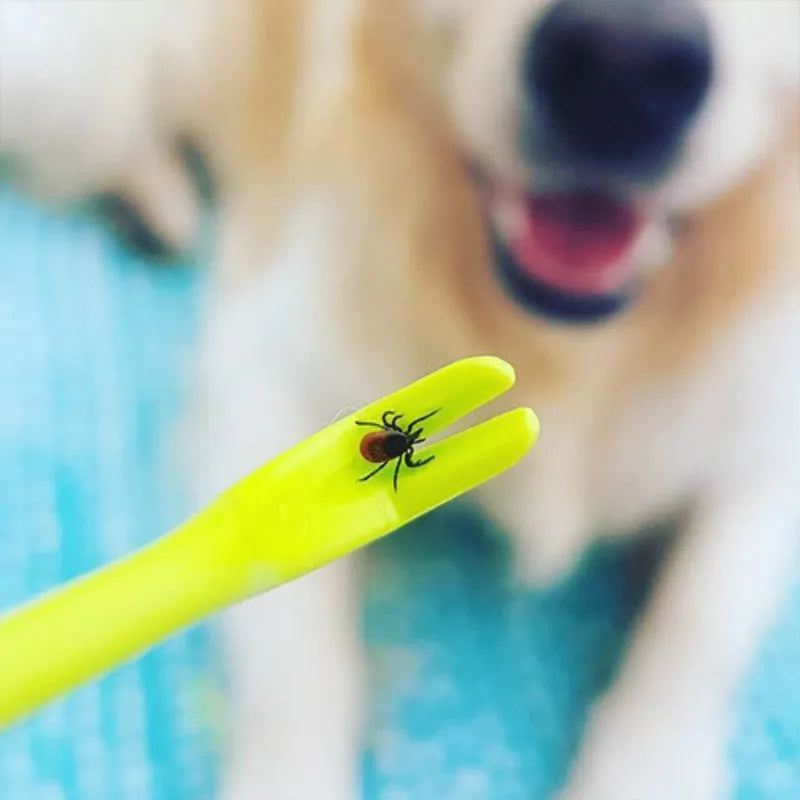 Three plastic tick removal clips in blue and green colours for pet grooming