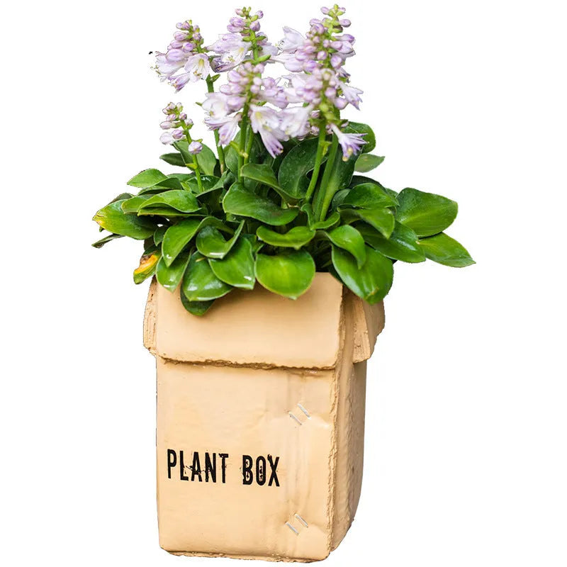 Cement brown paper box style flowerpot with bottom drainage holes for indoor planting