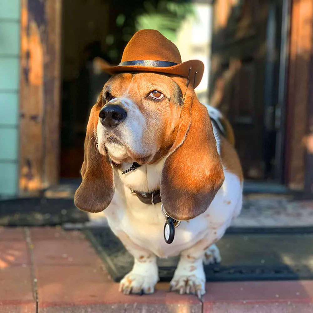 A brown adjustable cowboy hat for a small dog or cat on a white background.