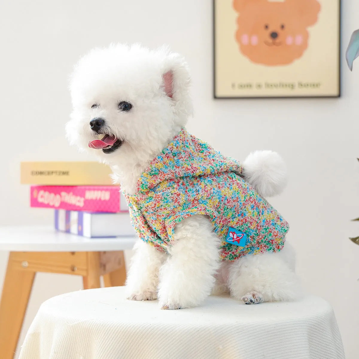 Colourful candy polyester hoodie for small dogs and cats, unisex design