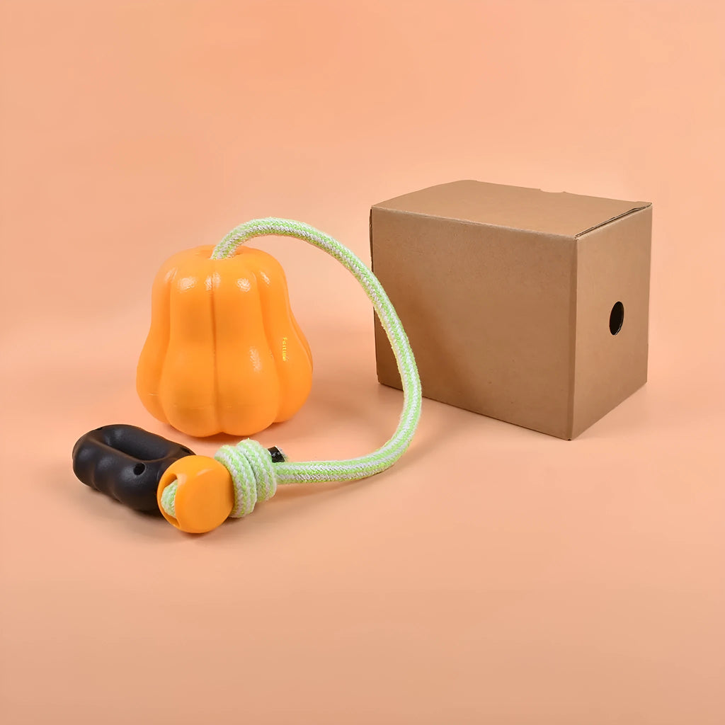 Orange pumpkin design plastic dog toy with rope attachment for long throws