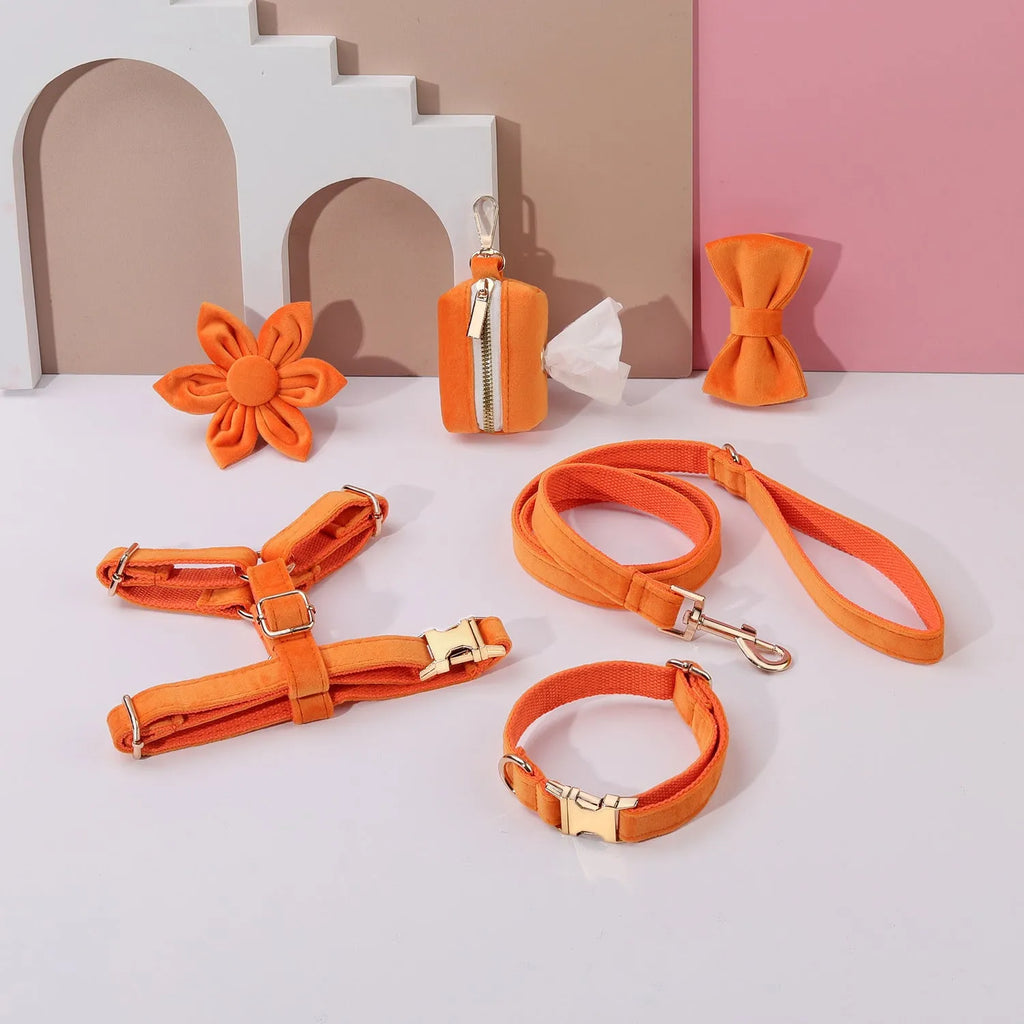 Soft velvet dog collar and leash set with chest strap, bow tie, and flower in assorted colours.