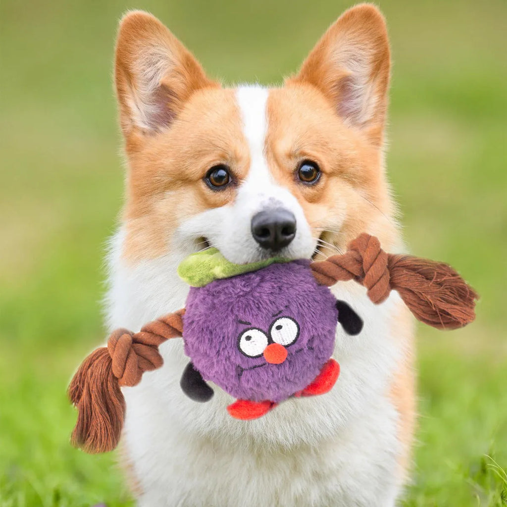Green and purple interactive plush dog toy with rope knots and a molar tooth design for tug of war.