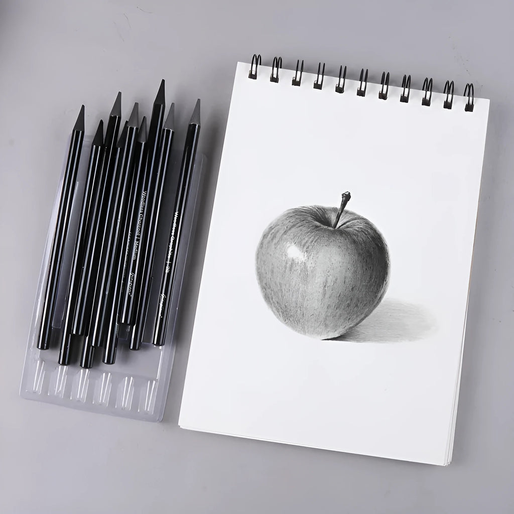 Graphite and carbonized pencil drawing set with wooden shells on suction card packaging