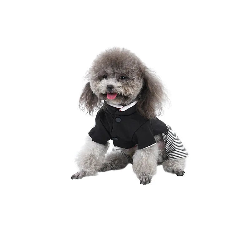 Cotton poodle dog clothes in skirt and four-foot pants styles for spring and summer