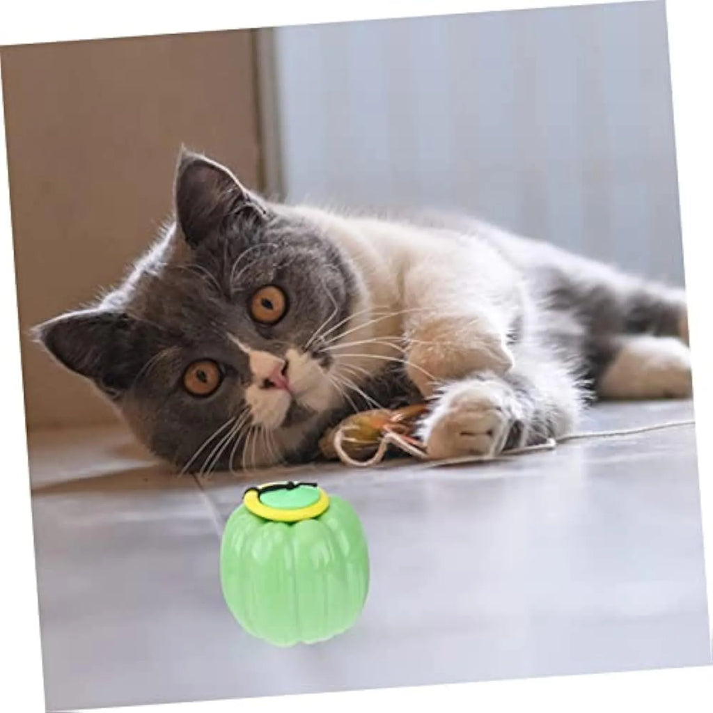 Orange pumpkin-shaped dog chew toy with squeaker for small dogs on green background