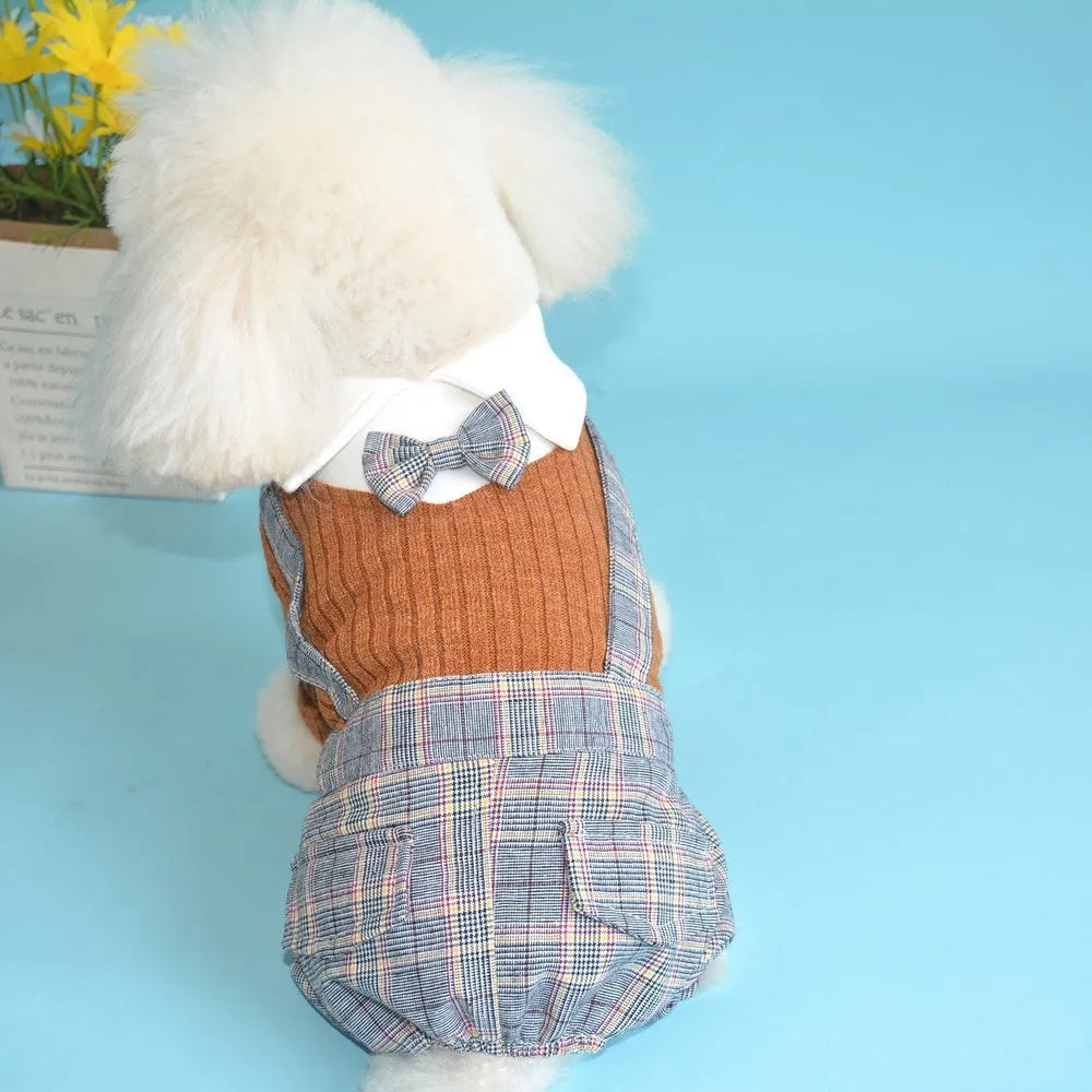 Orange cotton button-up shirt on a small dog, showing long sleeves and collar.