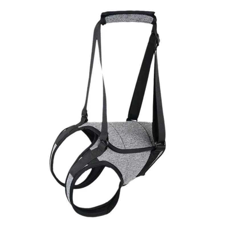 Grey neoprene recovery belt for injured dog rear legs showing waist and thigh support areas
