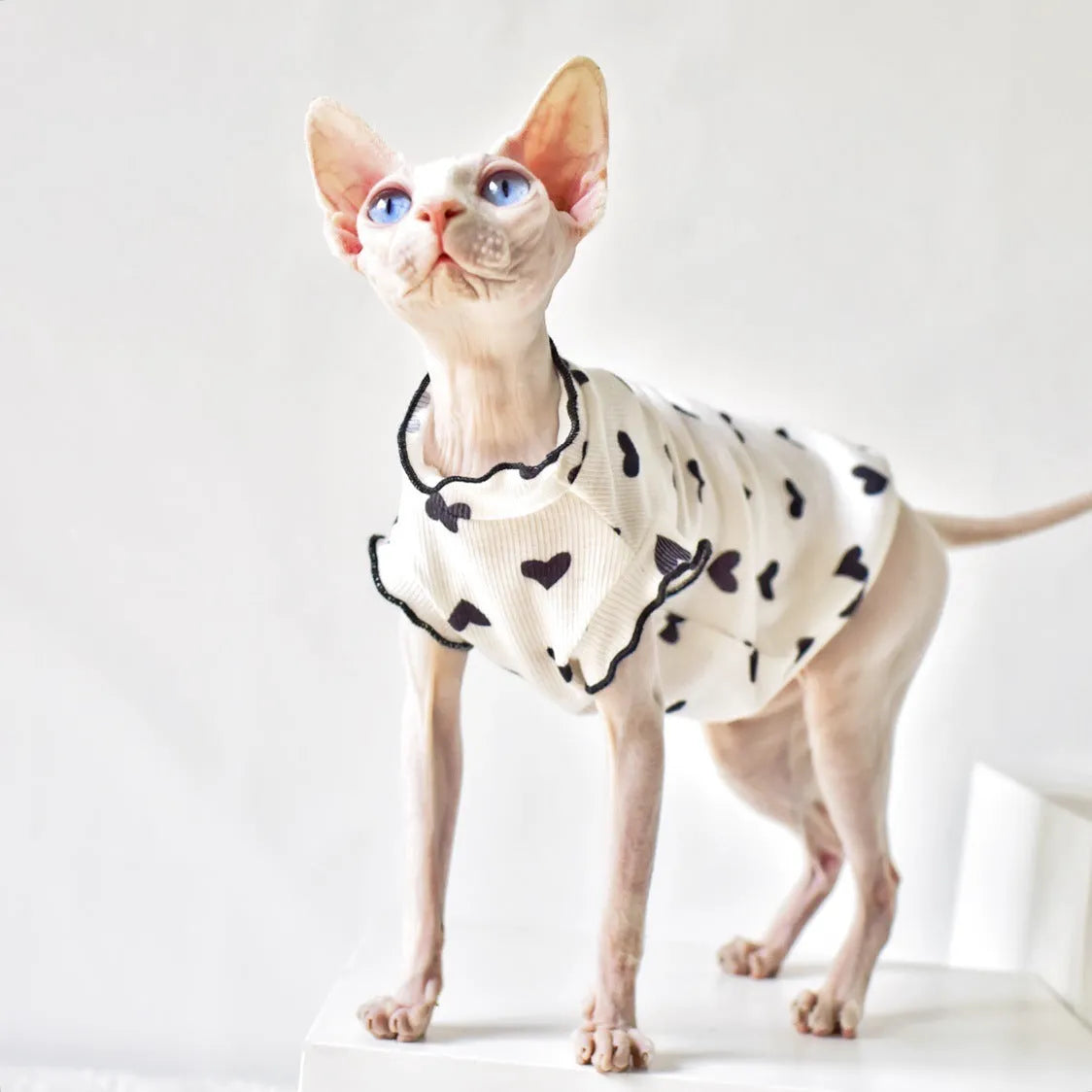 Sleeveless rubber cat vest in a choice of ten colours and six sizes from XS to XXL