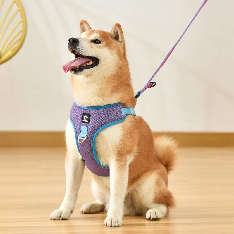 Adjustable breathable mesh dog harness with reflective strips in multiple colour options