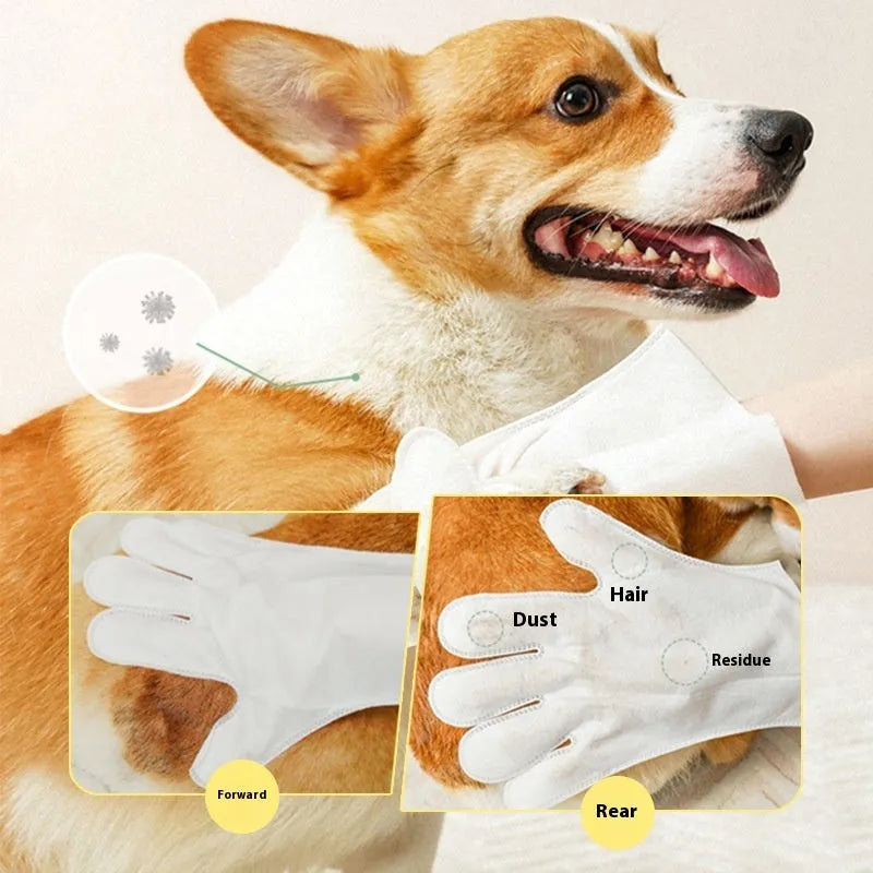 Disposable pet wet wipes and gloves in 6-piece pack for cats and dogs