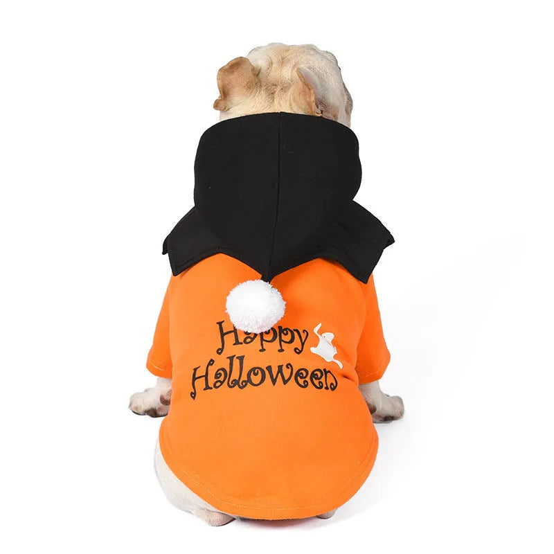 Halloween pumpkin dog costume with black and orange two-piece sweater and shawl