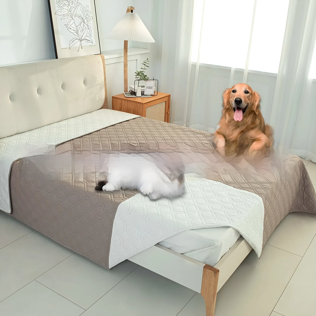 Reversible waterproof dog sofa cushion shown in dark grey and khaki beige colour options