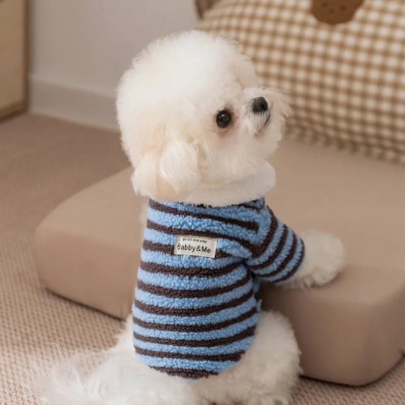 Soft plush blue-brown striped pet shirt button-down front on small dog warm winter fleece puppy sweater