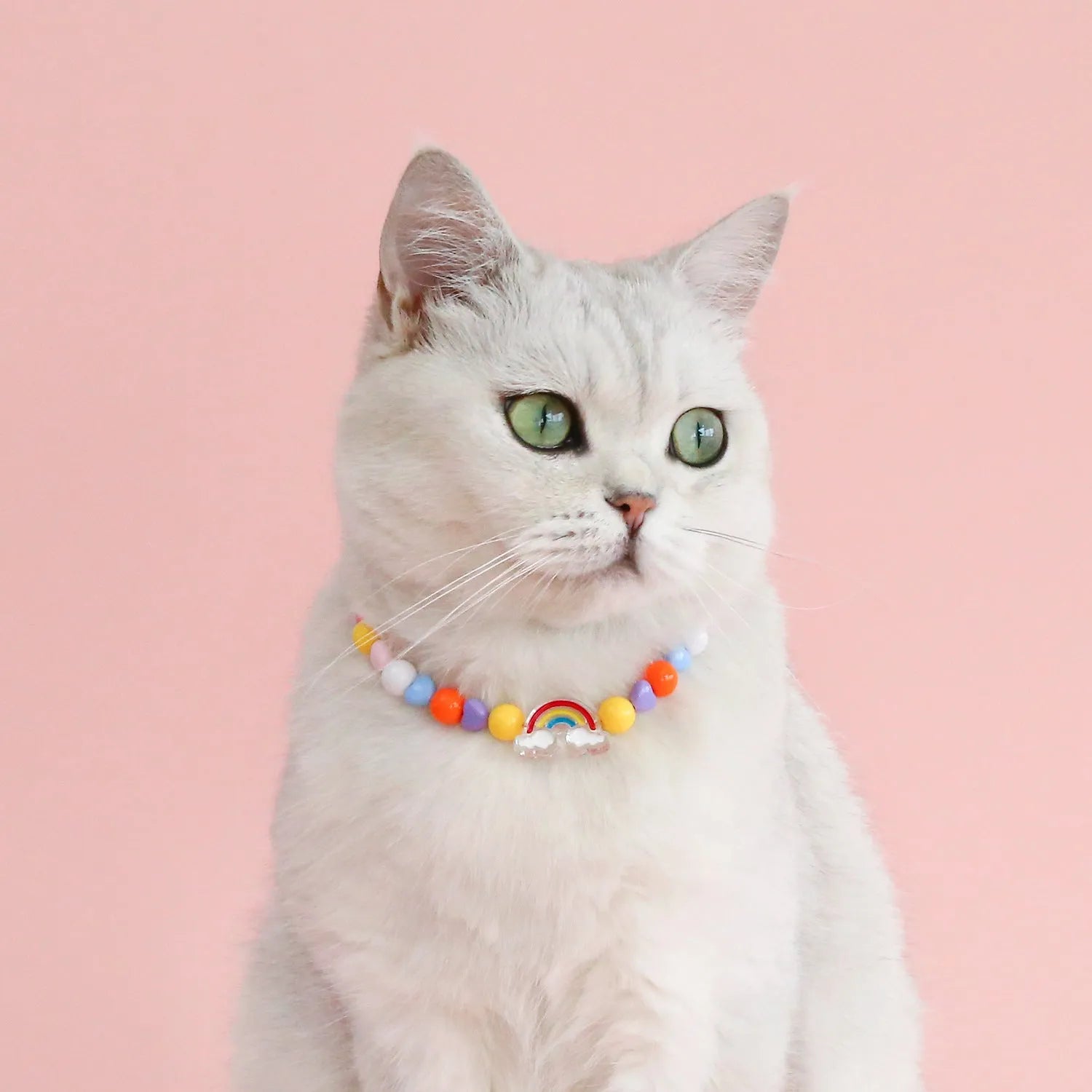Colourful plastic bead necklace for small pets with peach, rainbow, or small flower pattern options.