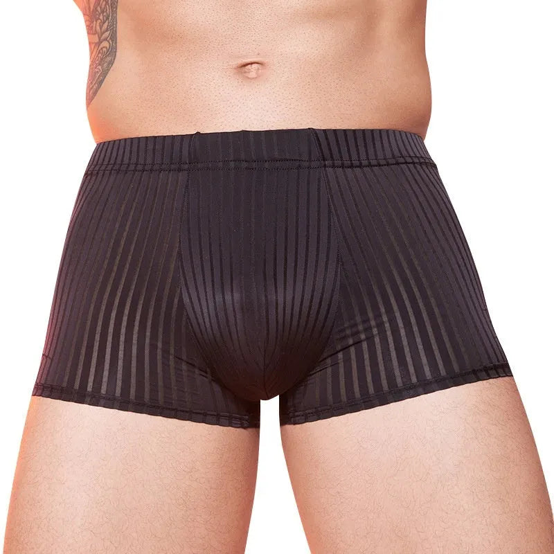 Men's striped underwear in thin nylon fabric showing transparent design in black, white and dark grey colours
