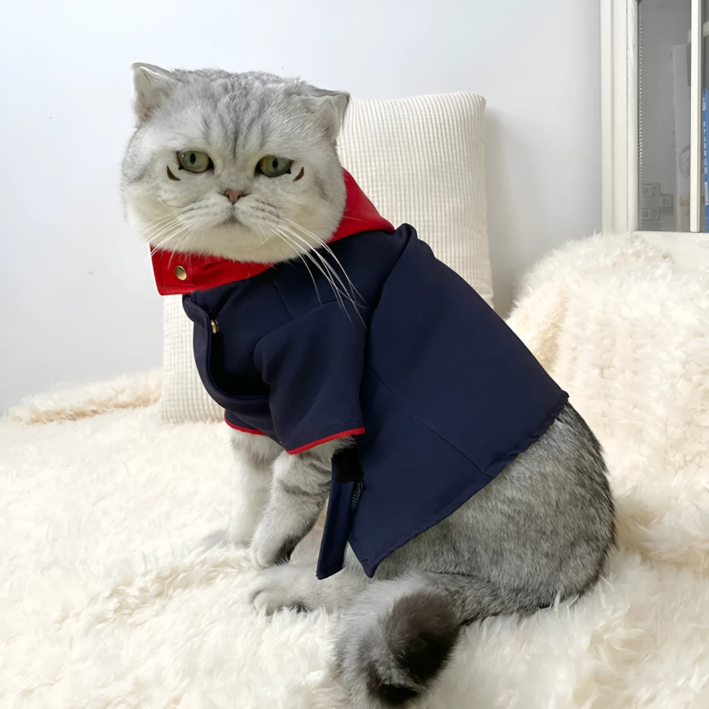 Pet hoodie photo prop in Tiger Staff Yuren colour for cats and dogs