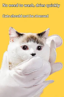 Disposable pet wet wipes and gloves in 6-piece pack for cats and dogs