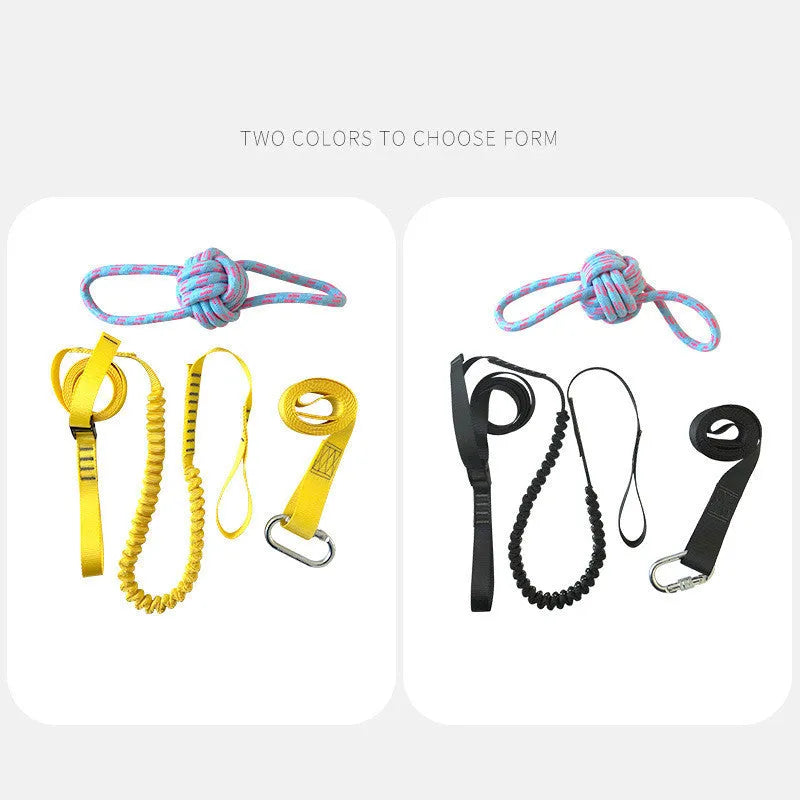 Dog training belt rope toy set with black polyester belt and yellow rope toy on a neutral background