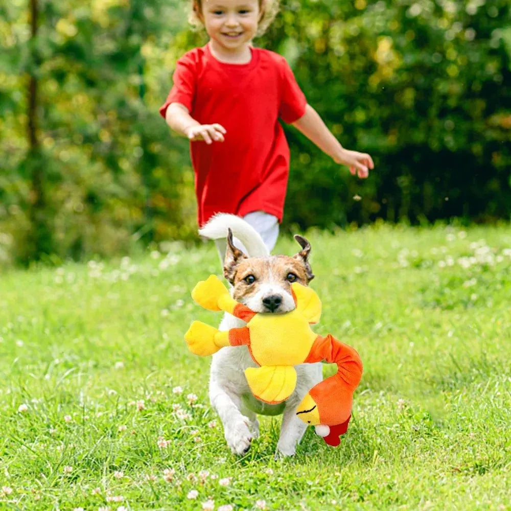 Black, green, and orange screaming chicken sound squeaky dog chew toy on a plain background
