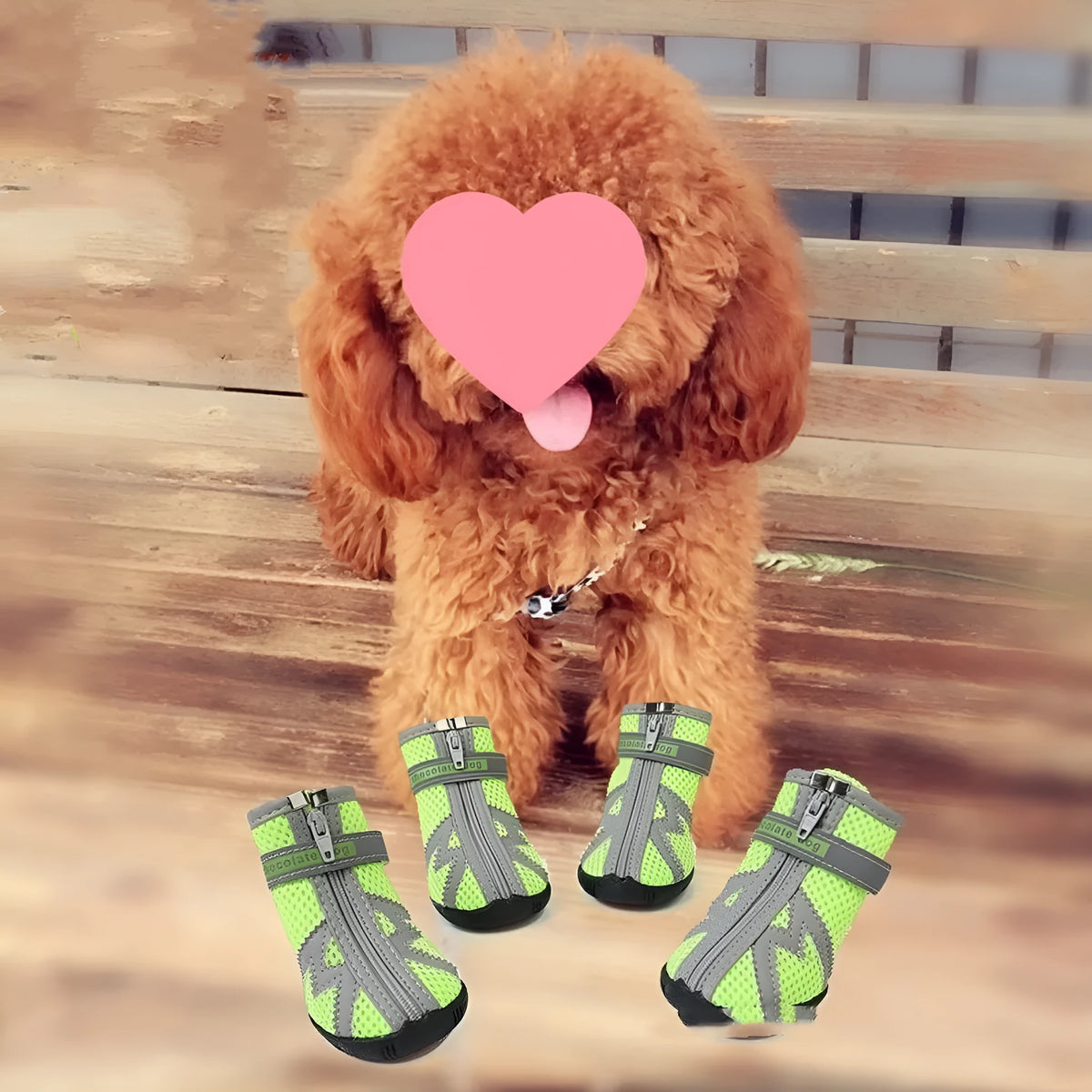 Waterproof non-slip breathable dog shoes, four-piece set, five sizes, nine colours including mesh and waterproof uppers