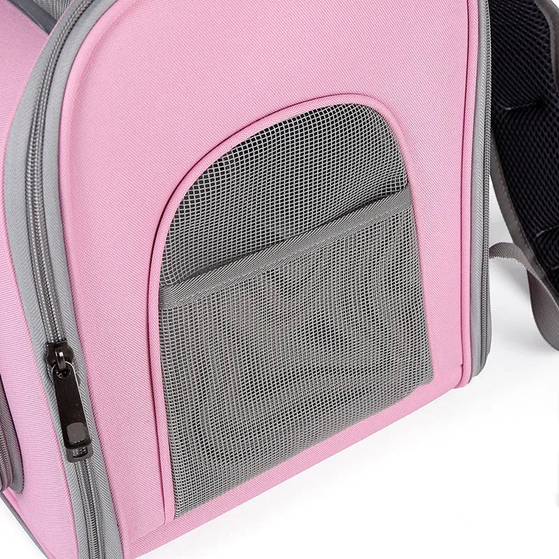 Portable transparent hard shell pet bag in blue, 35L capacity, polyester build for cats and dogs