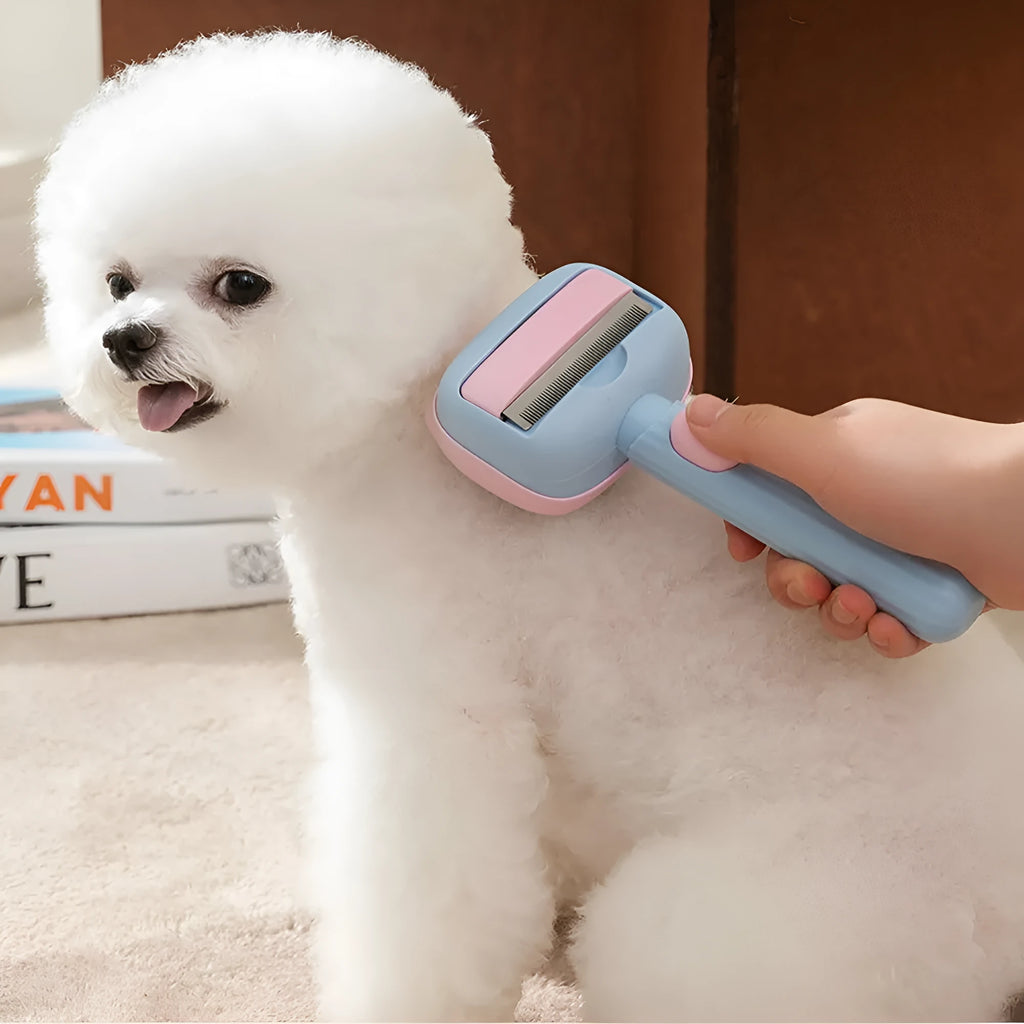 Blue double-sided dog deshedding brush with undercoat rake and dematting comb