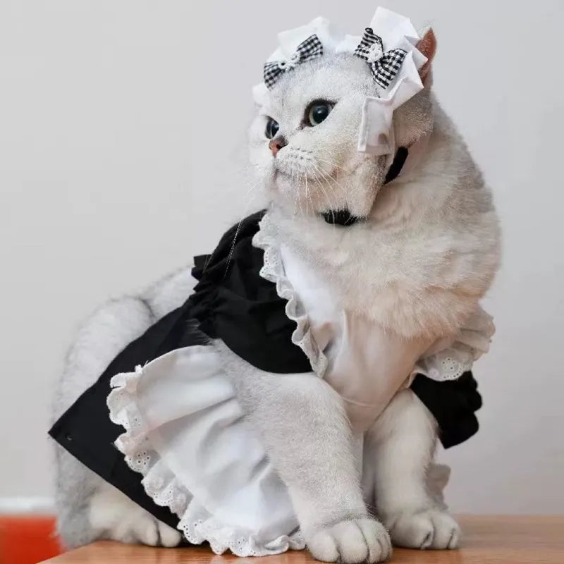 Cat costume dress set with headpiece and skirt in black maid style for adult cats