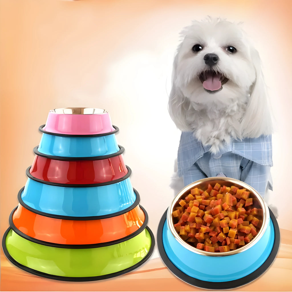Stainless steel and melamine pet feeding bowl with non-slip base in multiple colour options