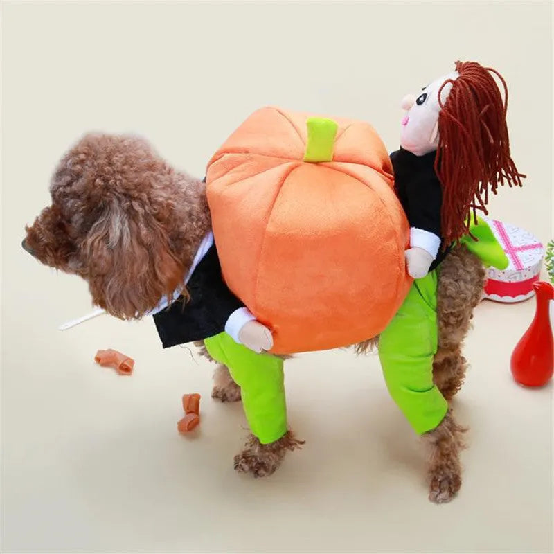 Orange cotton dog Halloween coat with penguin design, adjustable Velcro bust, sizes S to XXL