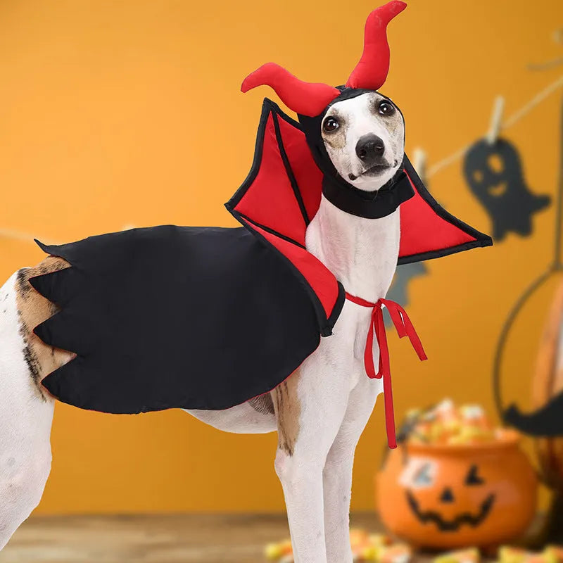 Black vampire cloak and hat Halloween costume for pet dog or cat