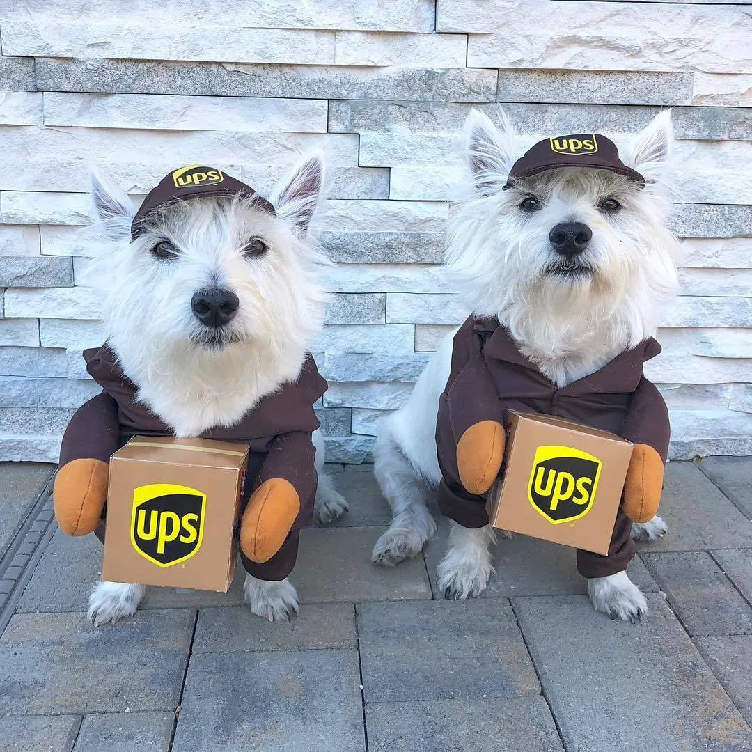 Funny Express pet clothes in brown cloth for dogs and cats size S