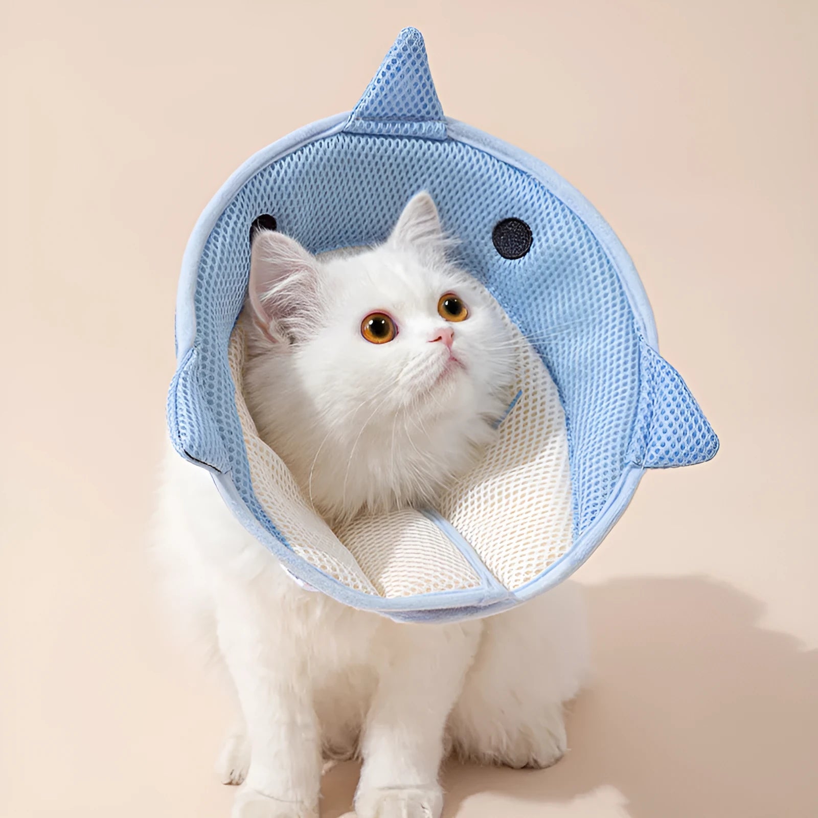 Black soft dog cone for surgery with gentle fabric edge