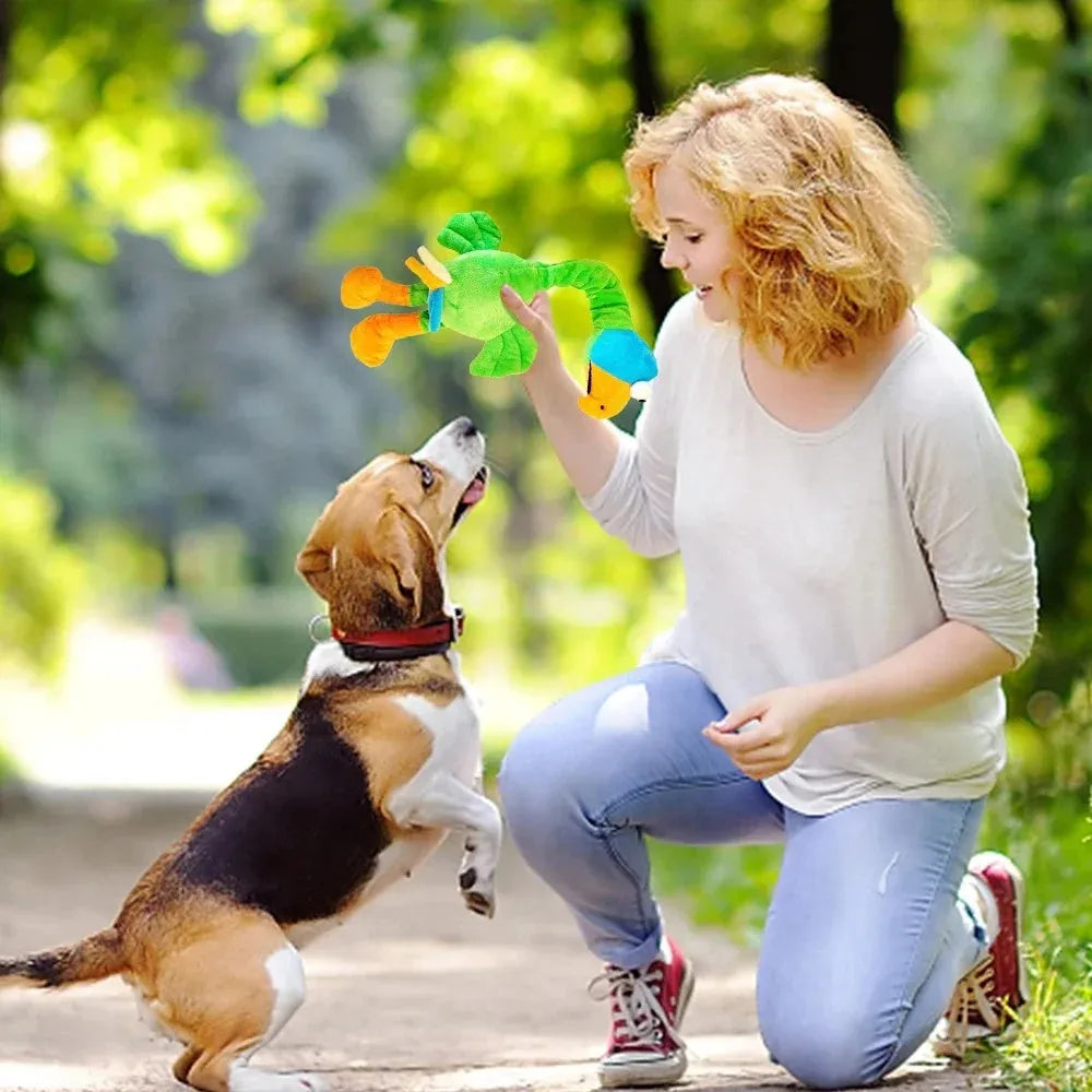 Black, green, and orange screaming chicken sound squeaky dog chew toy on a plain background